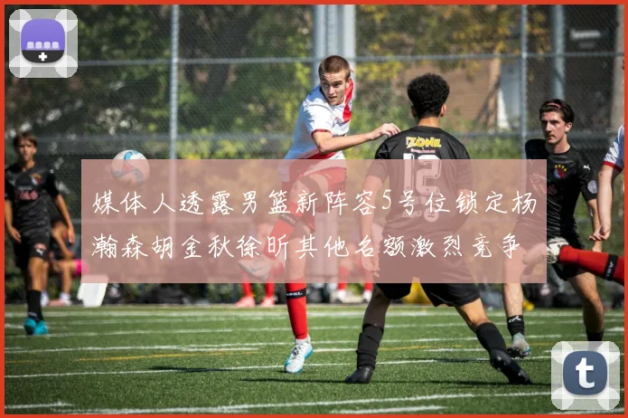 媒体人透露男篮新阵容5号位锁定杨瀚森胡金秋徐昕其他名额激烈竞争