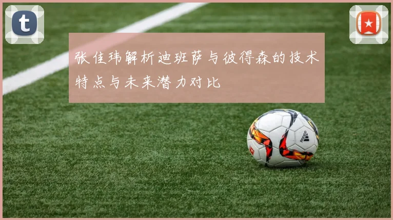 张佳玮解析迪班萨与彼得森的技术特点与未来潜力对比