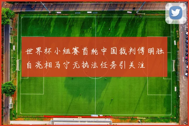 世界杯小组赛首轮中国裁判傅明独自亮相马宁无执法任务引关注